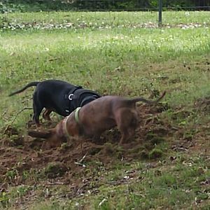 Meet your Posher, Sharon